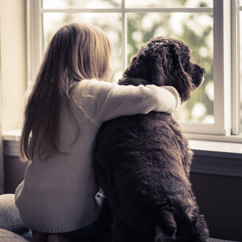 Girl and dog looking out the window