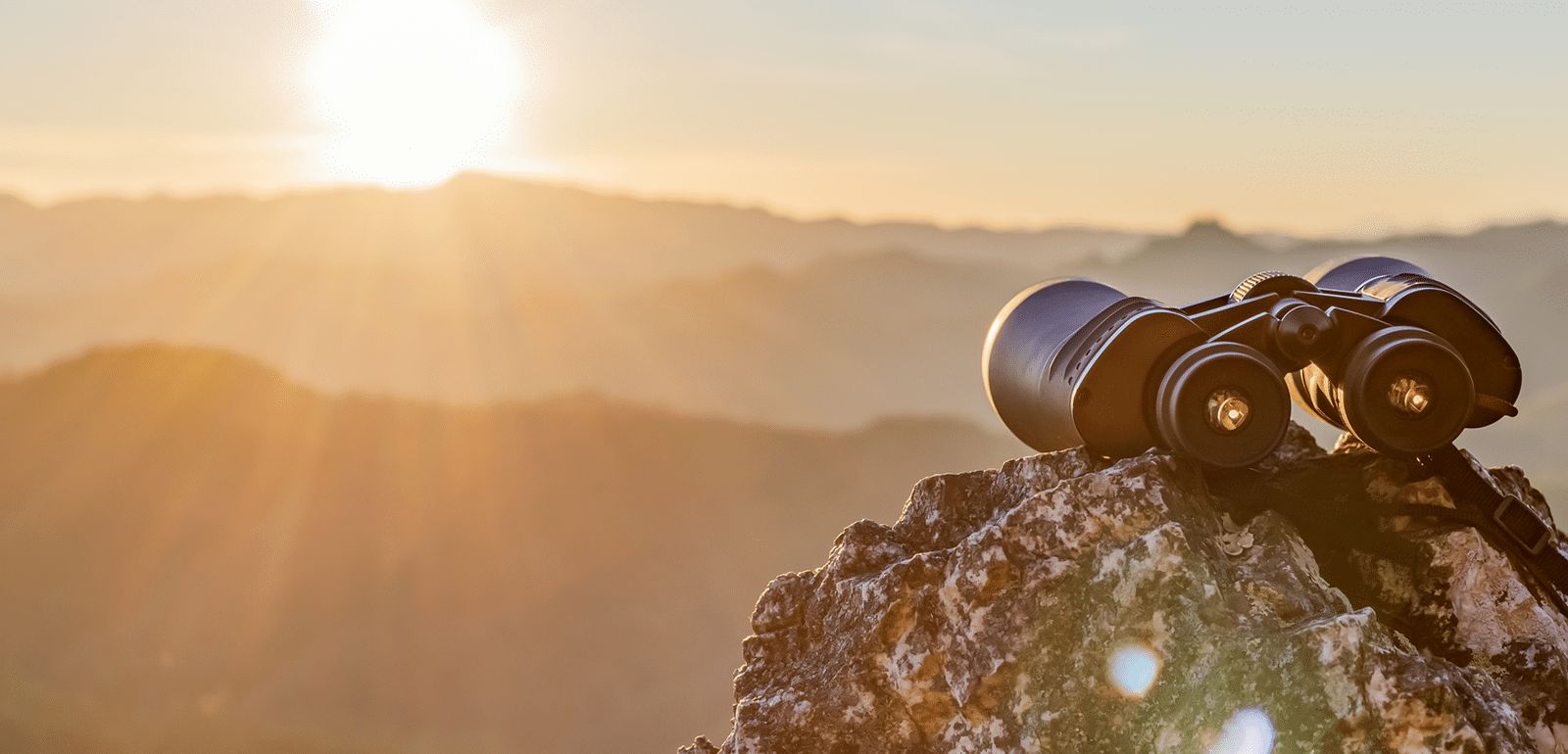 M&amp;A trends: 2023 and beyond