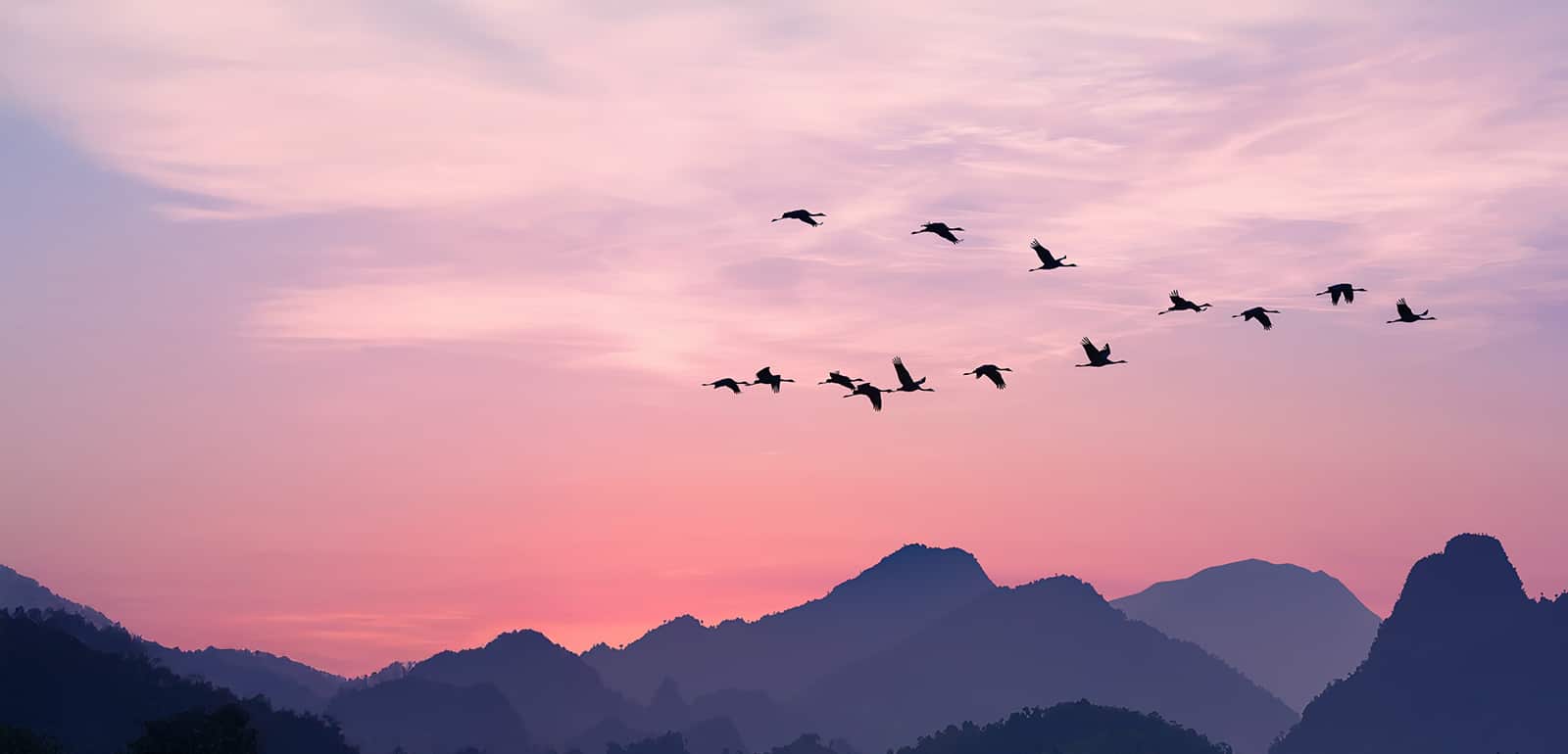 Rethinking EVP: Helping the public sector win the race for talent