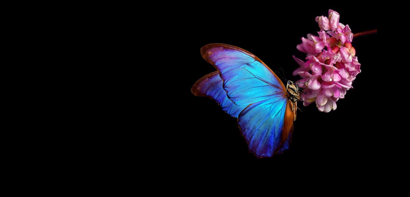 Transformation in energy: why maturity matters more than ever